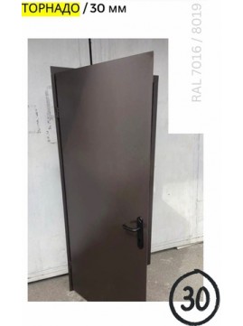 Вхідні двері  в Будинок Бастіон  Doors Торнадо SLIM 30 Ral 7016/8019